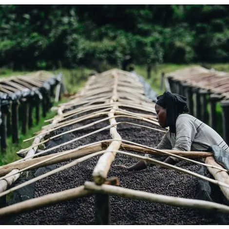 rwanda-natural-square