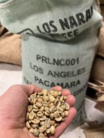 Salvador Los Angeles